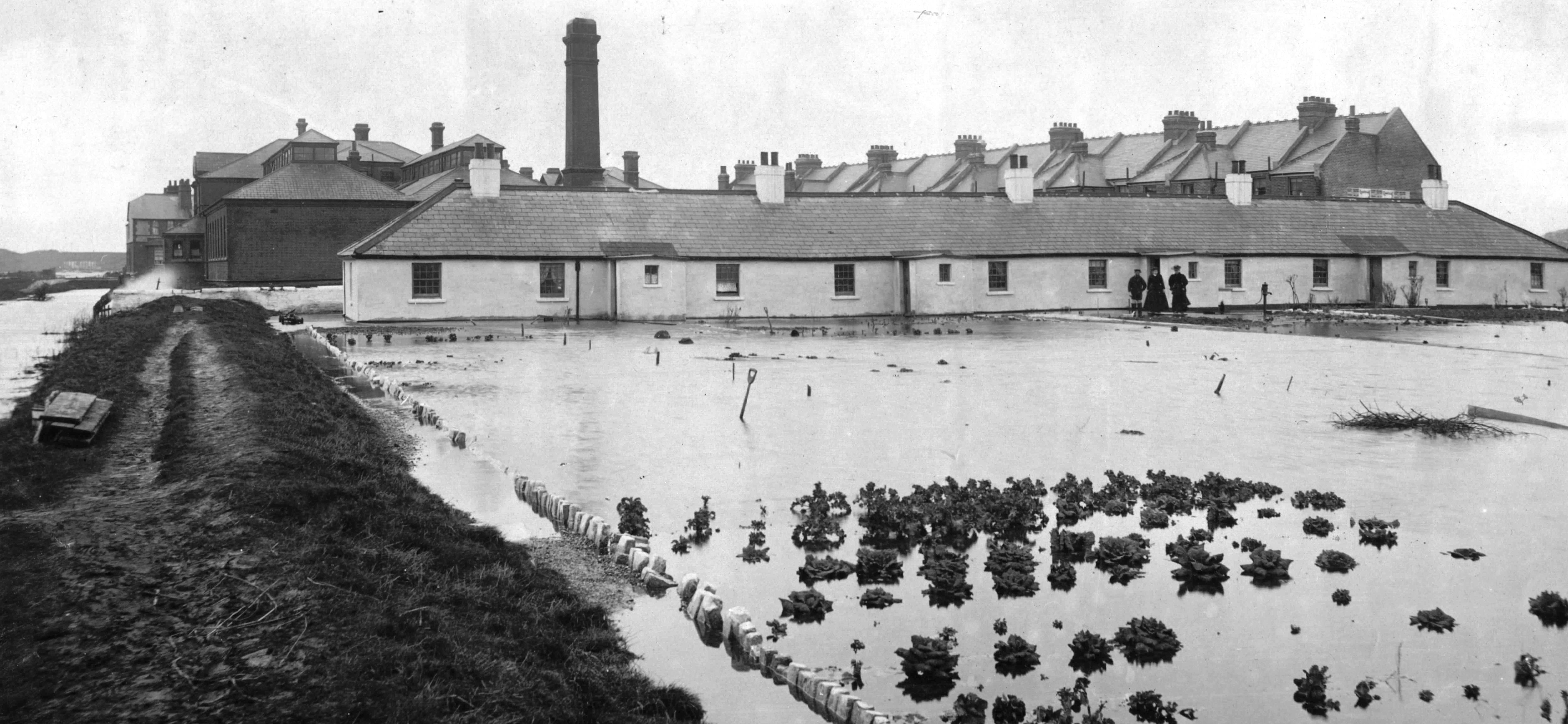 Old_Coastguard_Cottages_Bexhill_Rd_-_Copy.JPG